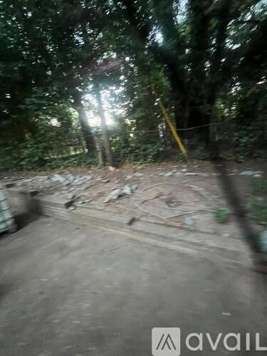 A blurry image of a forest path with a yellow pole on the right side.