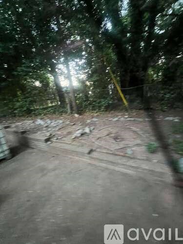 A blurry image of a forest with a path and a yellow pole.