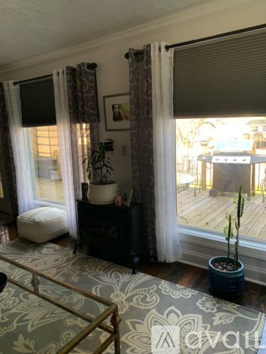 A living room with a couch, a potted plant, and a window with curtains.