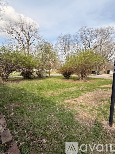 A grassy area with trees and a cloudy sky.
