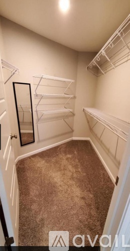 A carpeted walkway leads to a white closet with shelves.