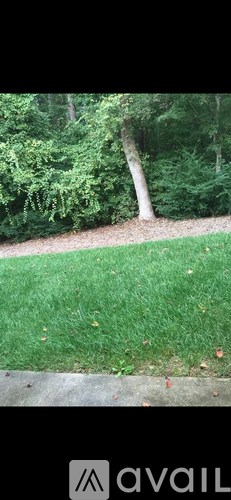 A grassy area with a tree in the background.