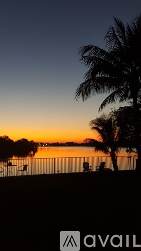 A beautiful sunset with palm trees and a beach.