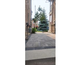 A tree in a yard behind a building.