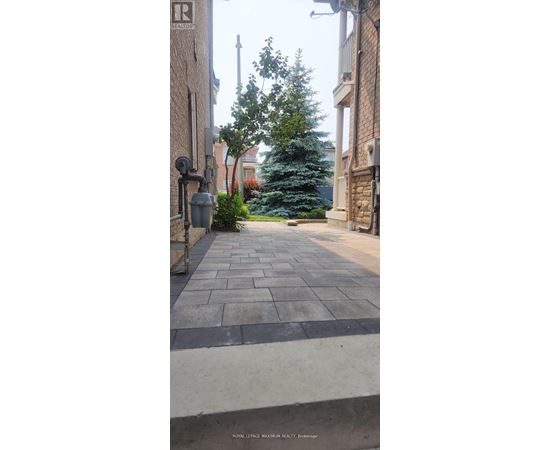 A tree in a yard behind a building.