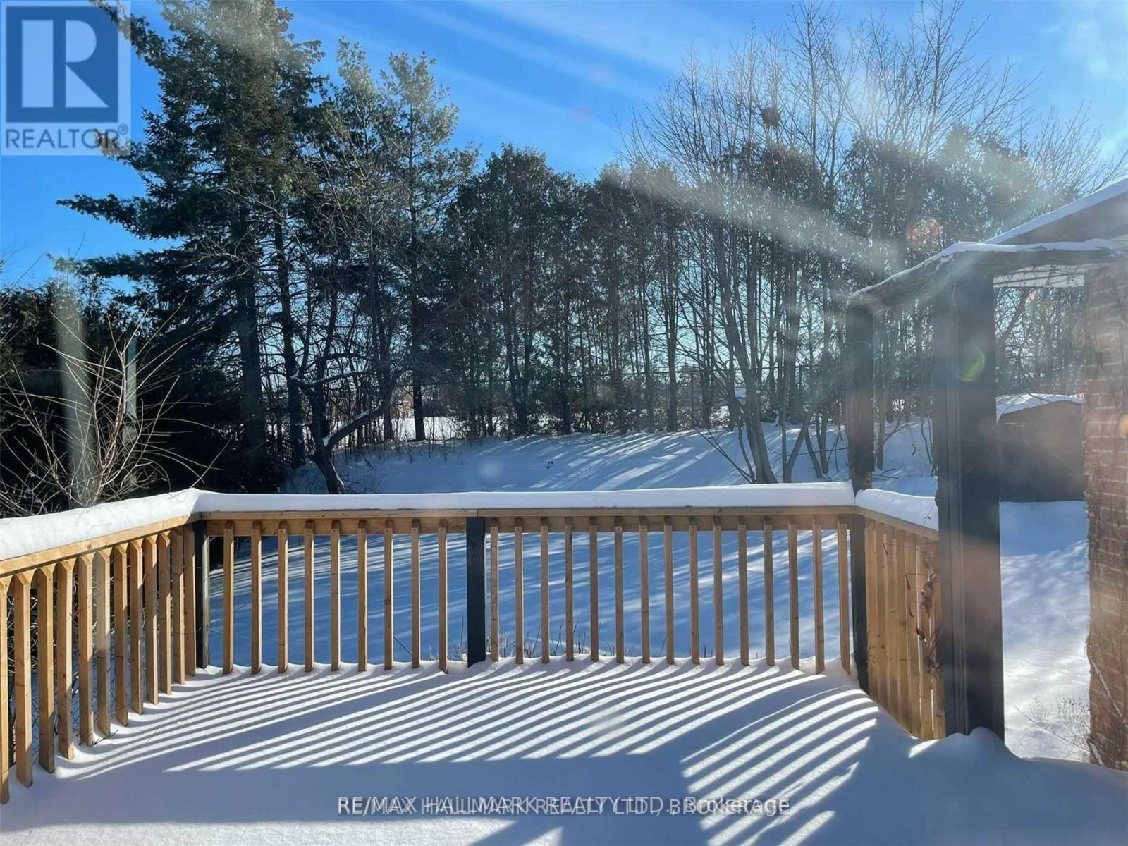 A deck with snow on the ground and trees in the background.