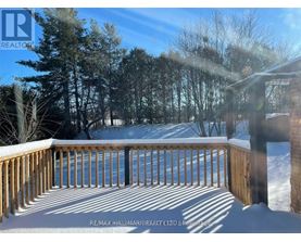 A deck with snow on the ground and trees in the background.