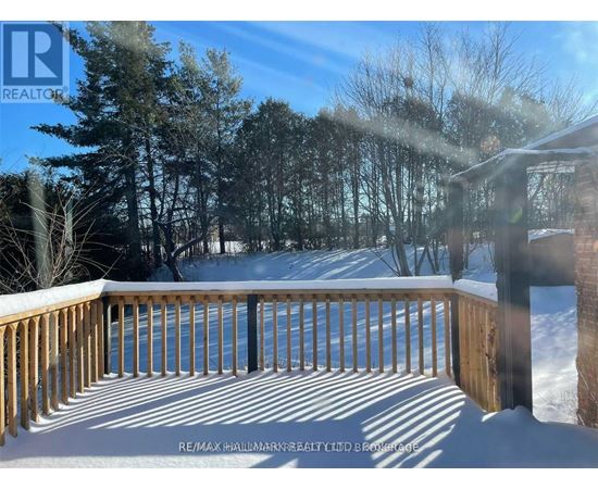 A deck with snow on the ground and trees in the background.