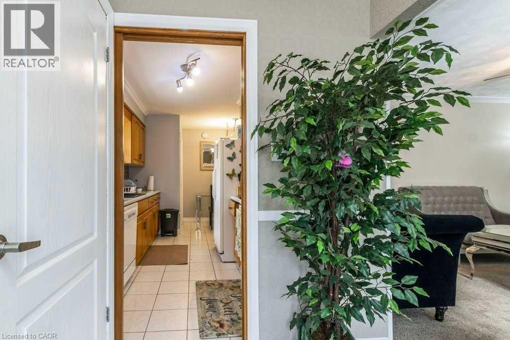 A living room with a couch and a plant in a pot.