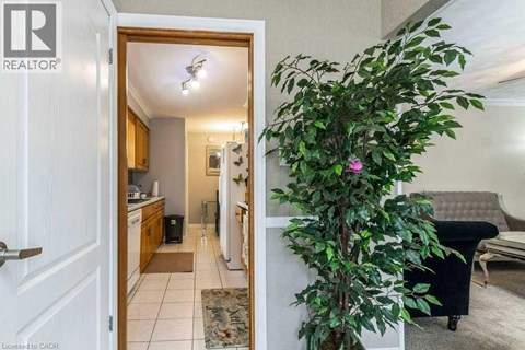 A living room with a couch and a plant in a pot.