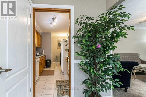 A living room with a couch and a plant in the foreground.