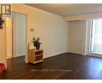 A room with wooden floors and white walls, furnished with a wooden shelf and a plant.
