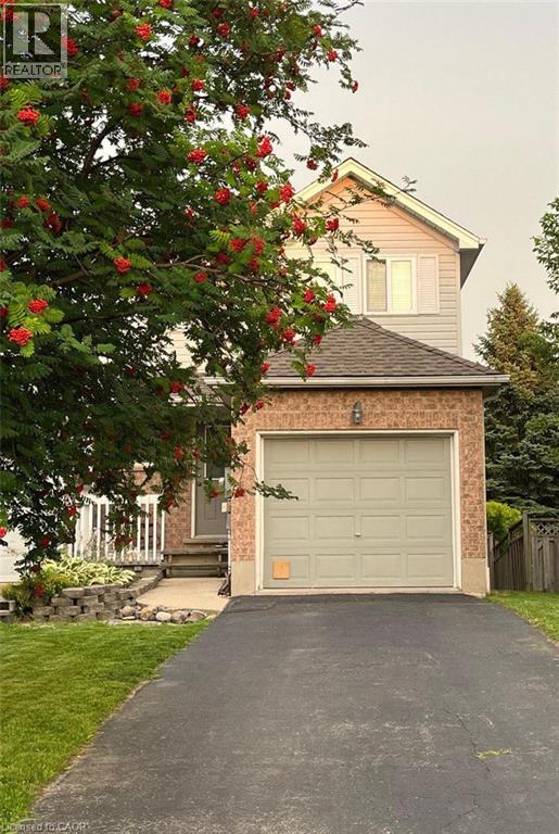 A house with a garage and a driveway with a tree in front.