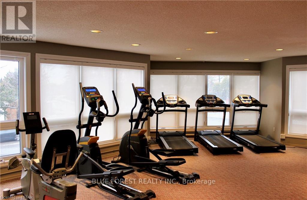 A gym with treadmills and elliptical machines.