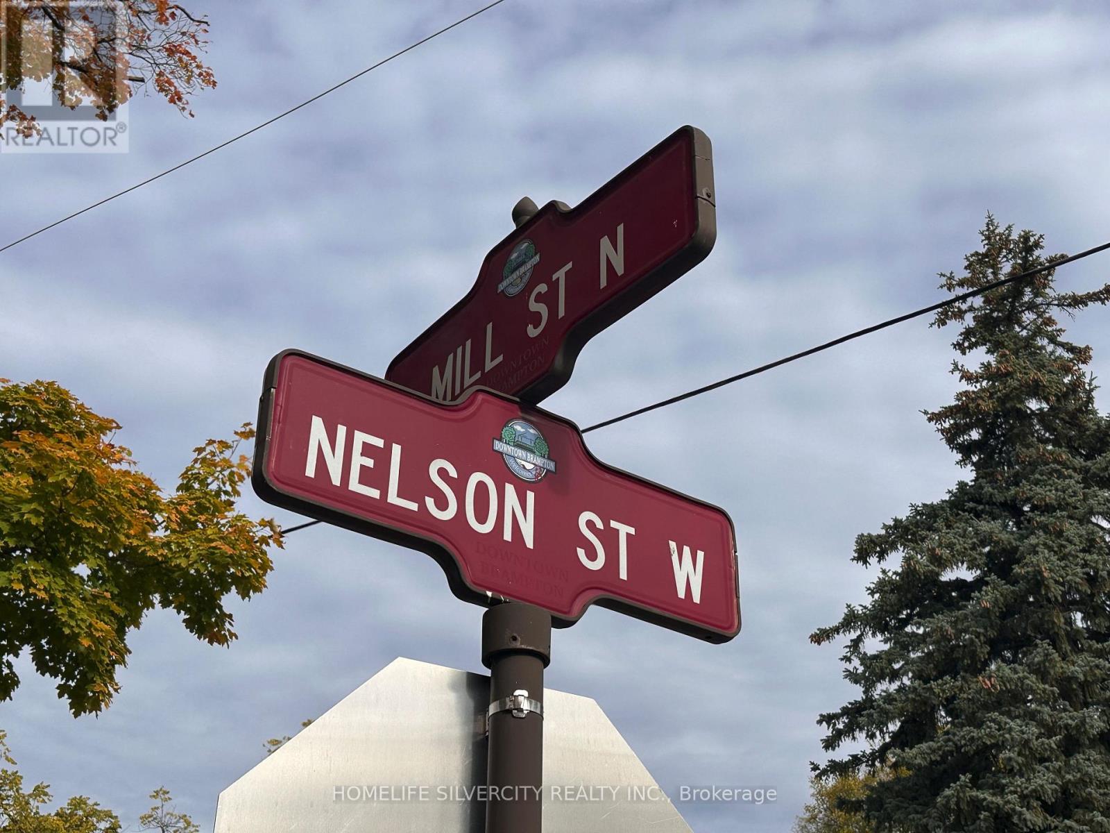 A street sign for Nelson St W is shown in front of a tree.