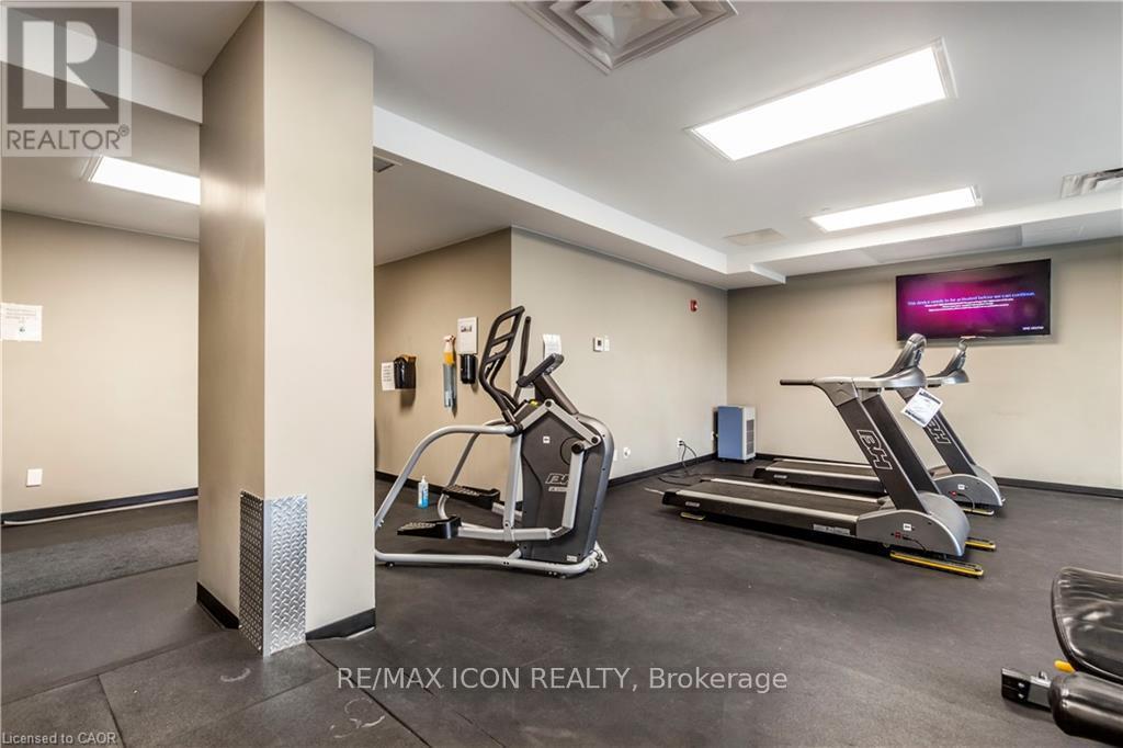 A gym with treadmills and elliptical machines.