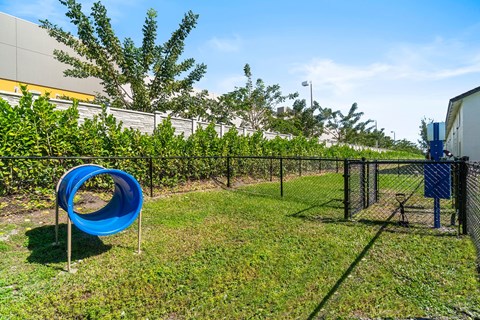 A blue playground slide in a grassy area with a fence and trees in the background.