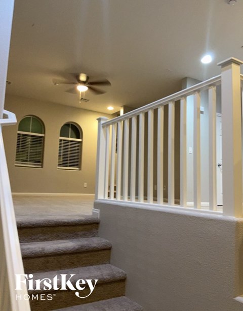 6641 Colorado Spruce Street 3 Beds Apartment for Rent