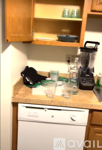 A kitchen with a white dishwasher and a blender on the counter.