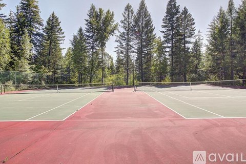 A tennis court surrounded by trees and a fence.