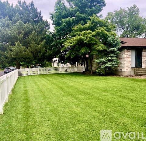 A backyard with a white picket fence and a tree.