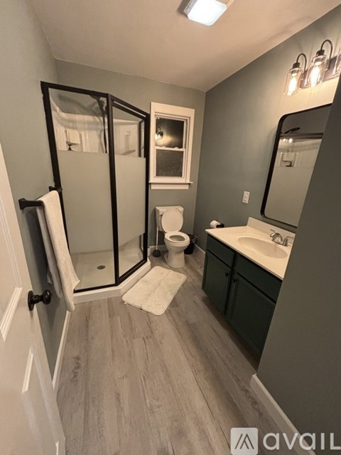 A bathroom with a toilet, sink, mirror, and a walk-in shower.