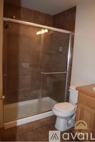 A bathroom with a toilet and a walk-in shower.
