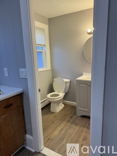 A bathroom with a toilet, sink, and wooden floors.
