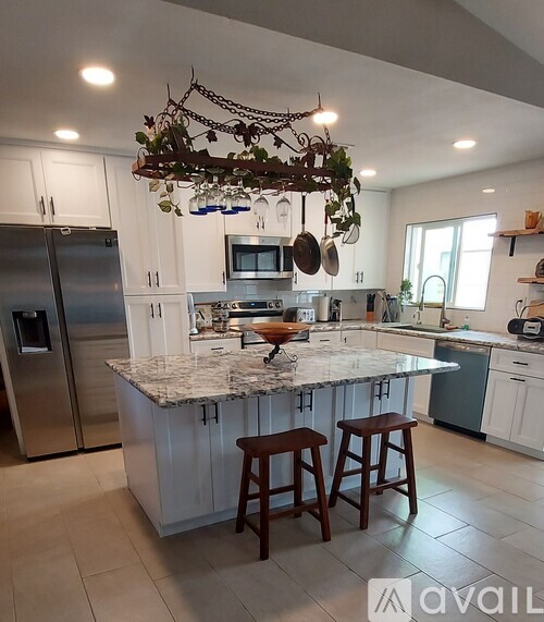 A kitchen with a marble countertop and a hanging plant.
