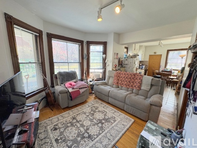 A living room with a grey couch and a rug.