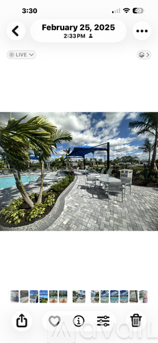 A sunny day at a resort with a pool and palm trees.