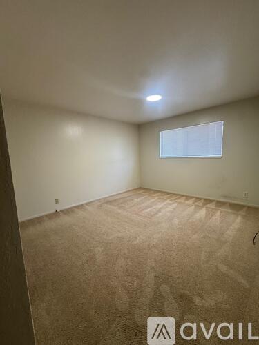 A room with a carpeted floor and a window.