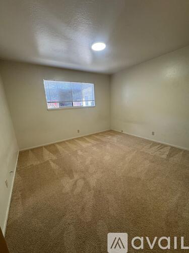 A room with a carpeted floor and a window.