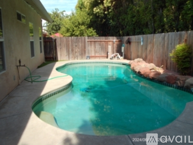 A small residential pool with a concrete border and a rock in the middle.