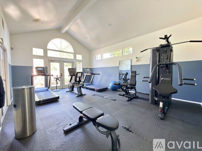 A gym with a variety of equipment including treadmills, stationary bikes, and weight machines.