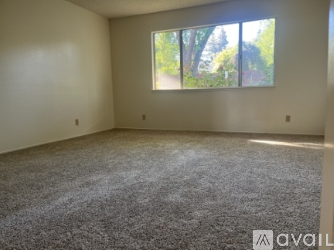 A room with a carpeted floor and a window showing trees outside.