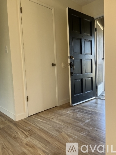 A black door is in a white room.