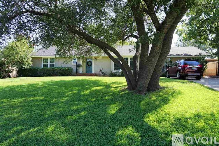 A tree in a yard with a house and cars in the background.