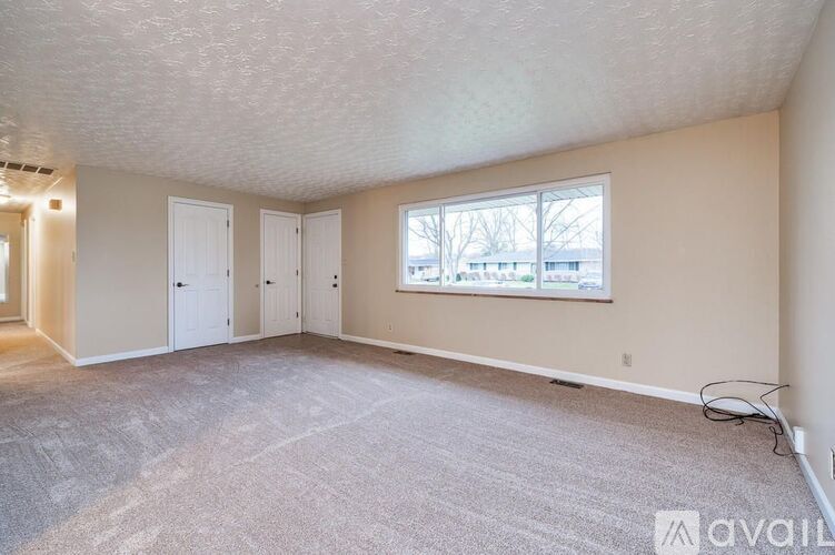 A spacious room with carpeted floor, two doors, and a window.