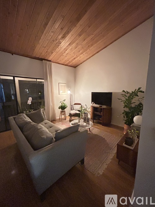 A living room with a couch, a chair, a rug, and a potted plant.