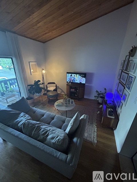 A living room with a grey couch and a television.