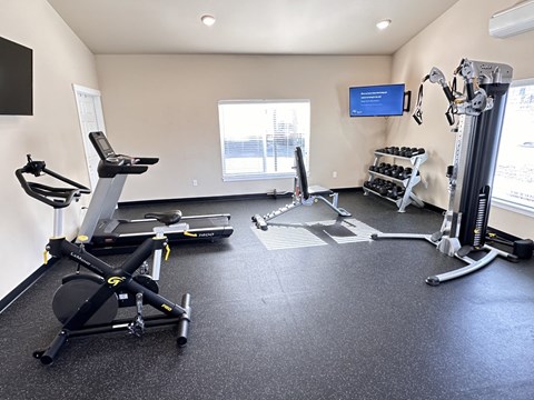 A home gym with a treadmill, elliptical trainer, and other exercise equipment.