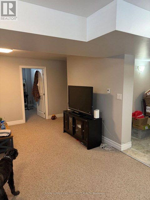 A dog is standing in a living room with a television and a dog bed.