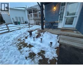 A snow-covered ground with a few plants and a wooden fence.