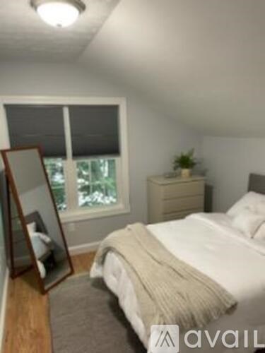 A bedroom with a bed, dresser, and mirror.