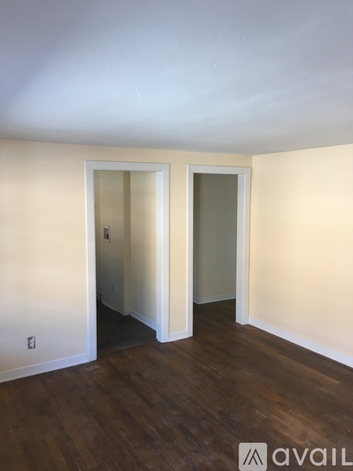 A room with two doors and wooden floors.