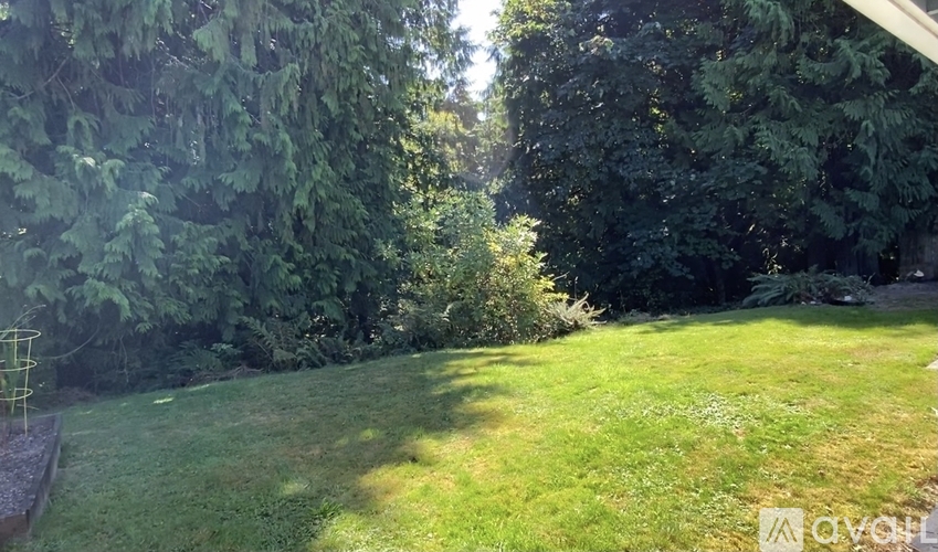 A lush green lawn with trees in the background.