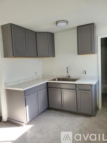 A kitchen with a sink and cabinets.