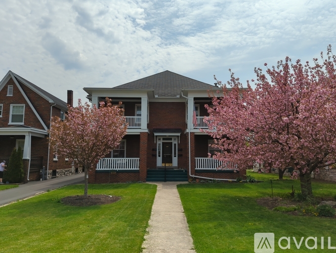 A brick house with a green door and a tree with pink flowers in front.
