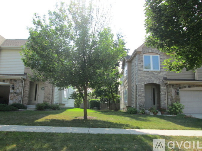 A tree in front of a house with a driveway.